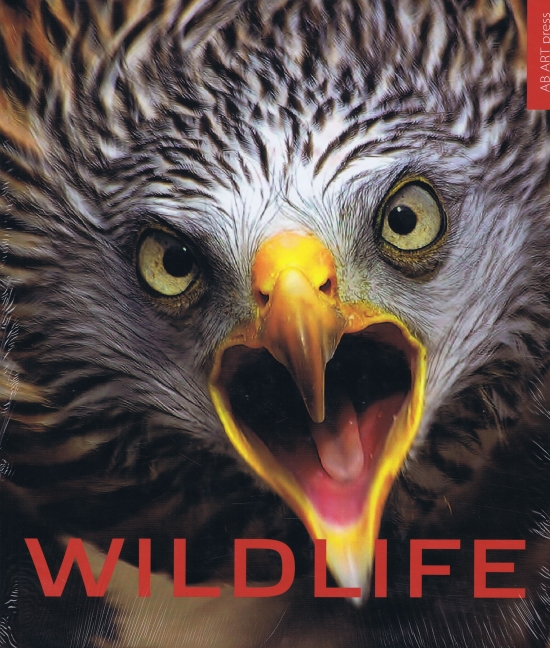 Wildlife - život zveri vo voľnej prírode
