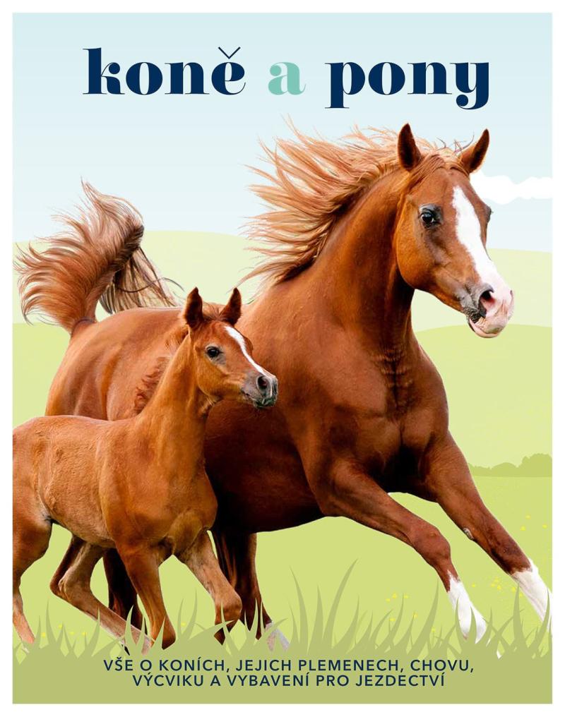 Koně a pony-Vše o koních,jejich plemenech,chovu,výcviku a vybavení pro jezdectví