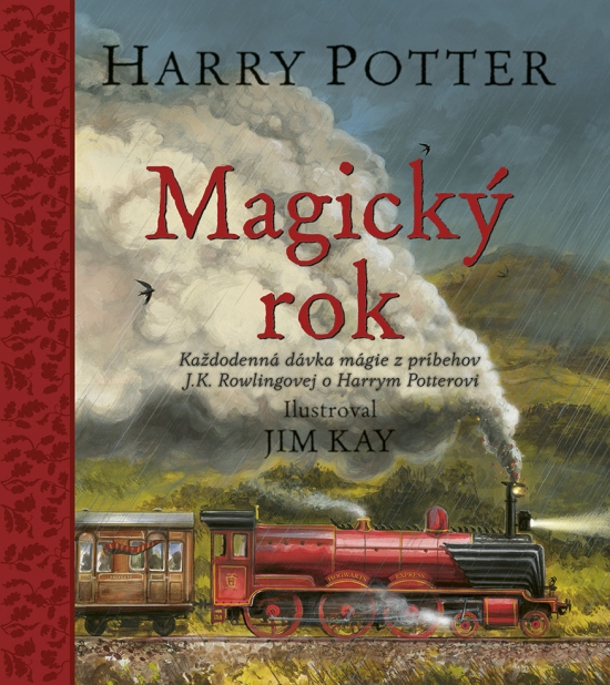 Harry Potter: Magický rok