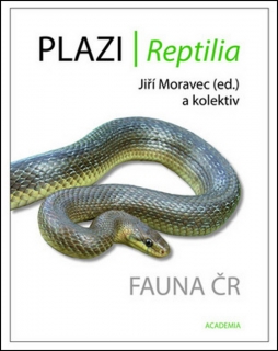 Plazi/ Reptilia