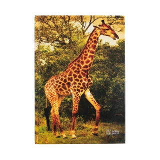 Zápisník A5 - Žirafy