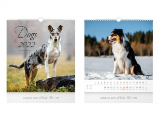 Malý Dogs 2022 - nástěnný kalendář